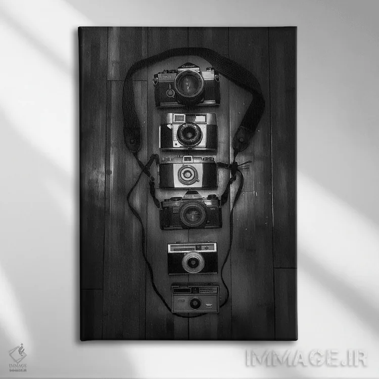 تابلو دکوراتیو دوربین ها اثر کیتلین ورا - نمای روبهرو روی دیوار