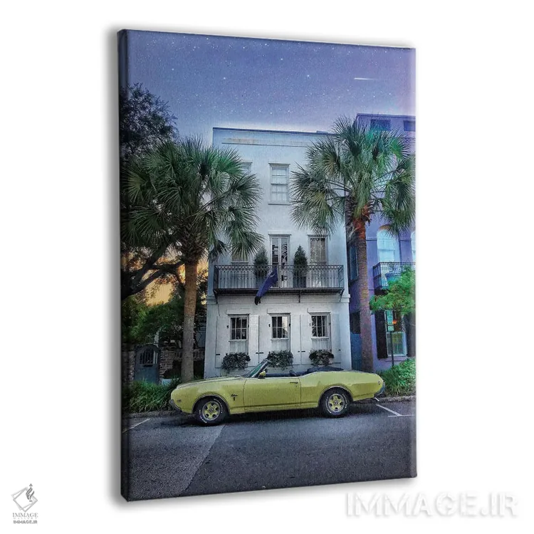 تابلو دکوراتیو چارلستون اثر کیتلین ورا - نمای پرسپکتیو محصول