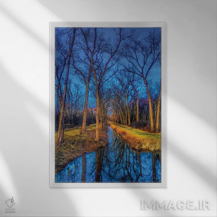 تابلو دکوراتیو آب در جنگل اثر کیتلین ورا - نمای قابدار سفید