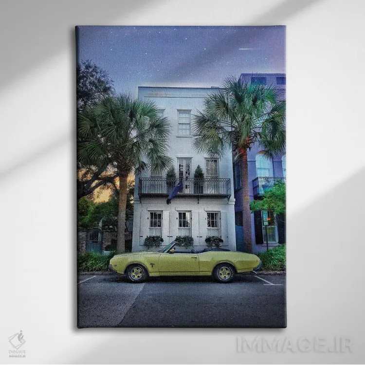 تابلو دکوراتیو چارلستون اثر کیتلین ورا - نمای روبهرو روی دیوار