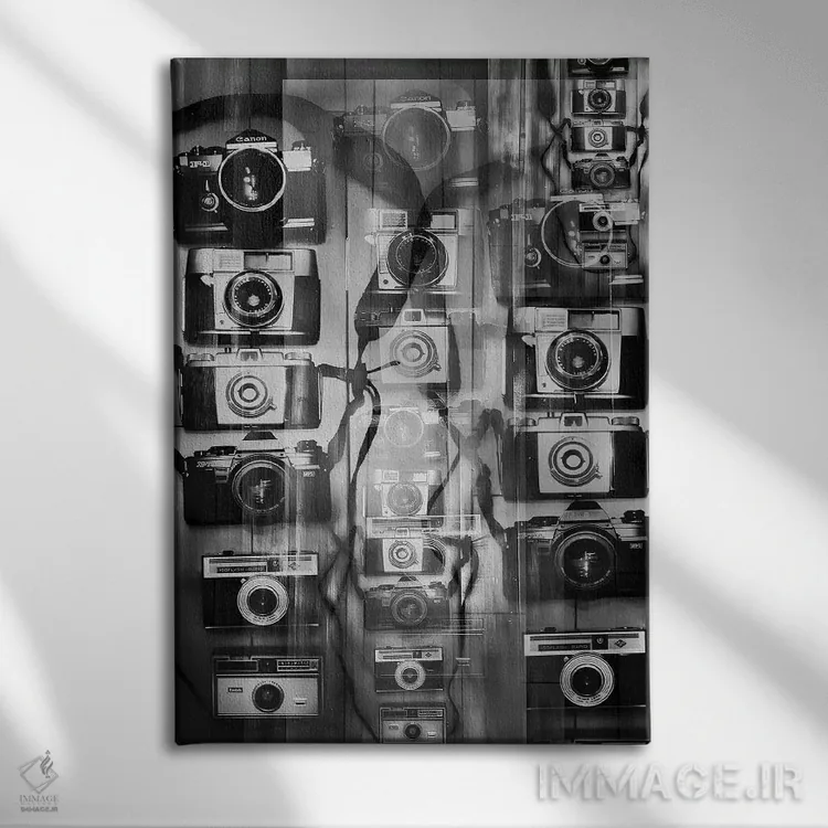 تابلو دکوراتیو دوربین ها اثر کیتلین ورا - نمای روبهرو روی دیوار