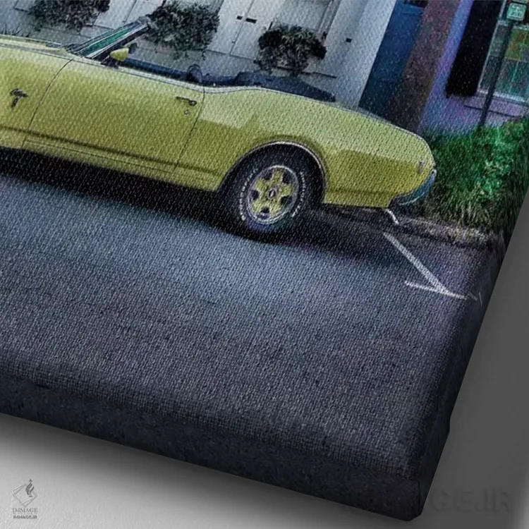 تابلو دکوراتیو چارلستون اثر کیتلین ورا - نمای نزدیک بافت بوم