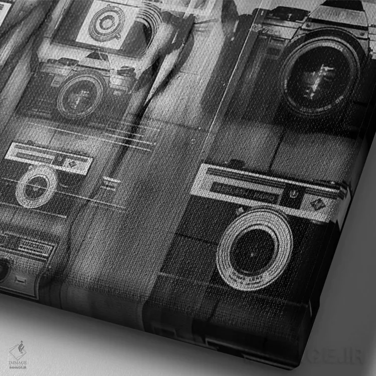 تابلو دکوراتیو دوربین ها اثر کیتلین ورا - نمای نزدیک بافت بوم