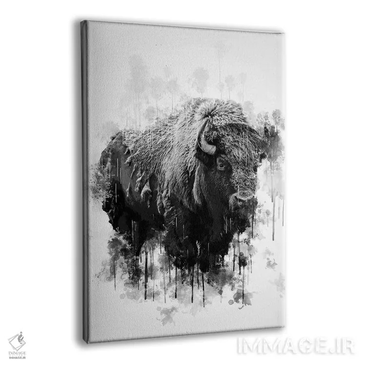 تابلو دکوراتیو گاومیش کوهان دار سیاه و سفید اثر کورنل ولاد - نمای پرسپکتیو محصول