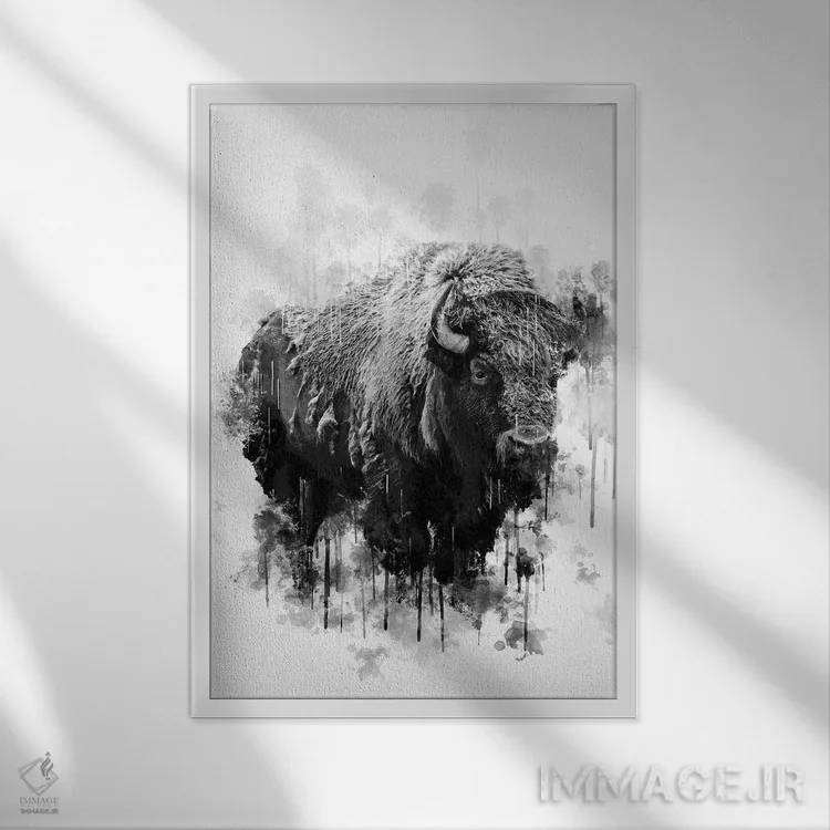 تابلو دکوراتیو گاومیش کوهان دار سیاه و سفید اثر کورنل ولاد - نمای قابدار سفید