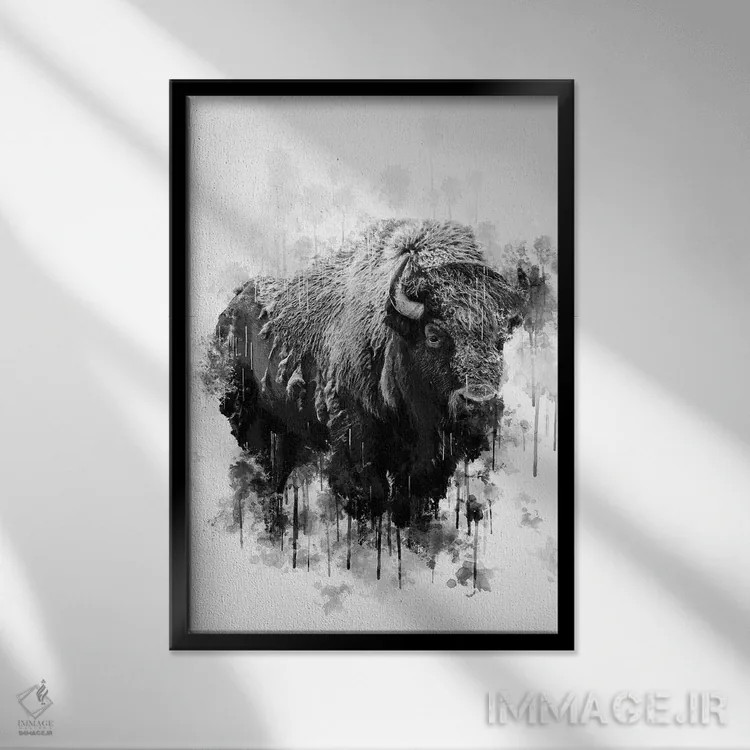 تابلو دکوراتیو گاومیش کوهان دار سیاه و سفید اثر کورنل ولاد - نمای قابدار مشکی