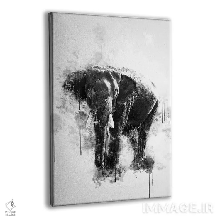 تابلو دکوراتیو فیل سیاه و سفید اثر کورنل ولاد - نمای پرسپکتیو محصول