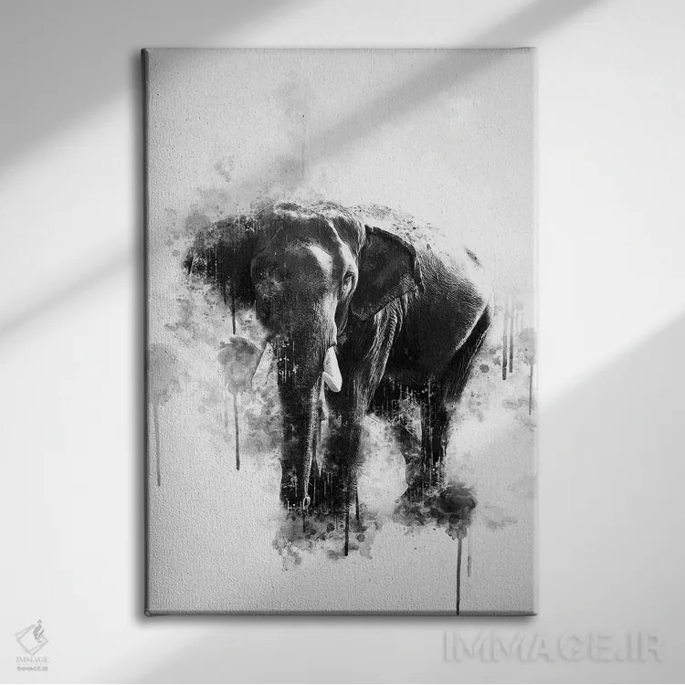 تابلو دکوراتیو فیل سیاه و سفید اثر کورنل ولاد - نمای روبهرو روی دیوار