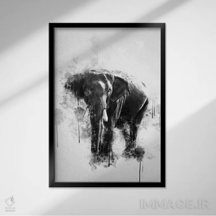 تابلو دکوراتیو فیل سیاه و سفید اثر کورنل ولاد - نمای قابدار مشکی