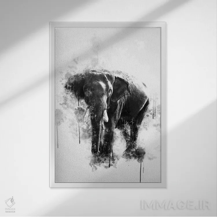 تابلو دکوراتیو فیل سیاه و سفید اثر کورنل ولاد - نمای قابدار سفید