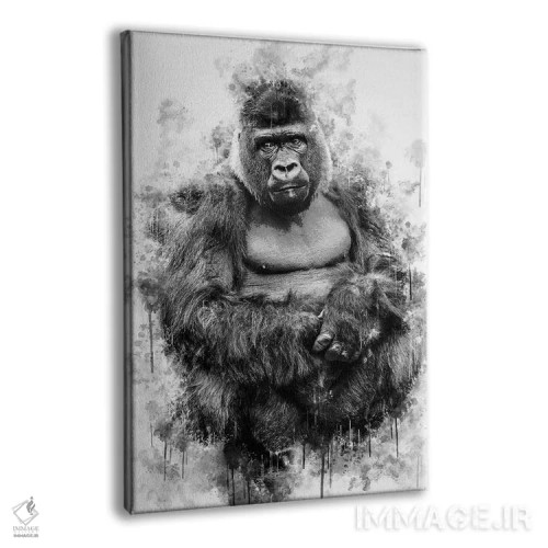 تابلو دکوراتیو گوریل سیاه و سفید اثر کورنل ولاد - نمای پرسپکتیو محصول