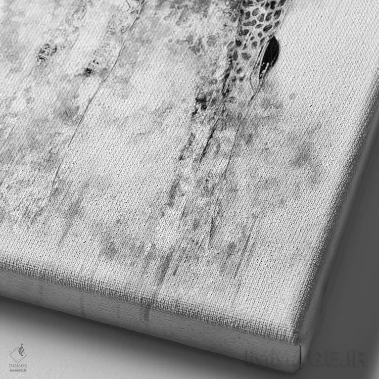 تابلو دکوراتیو زرافه سیاه و سفید اثر کورنل ولاد - نمای نزدیک بافت بوم