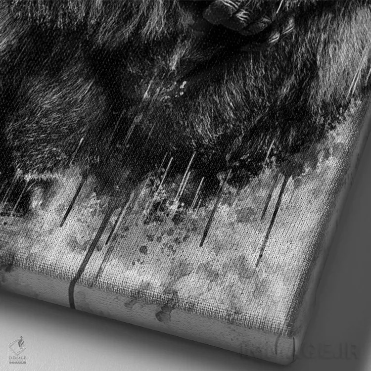 تابلو دکوراتیو گوریل سیاه و سفید اثر کورنل ولاد - نمای نزدیک بافت بوم