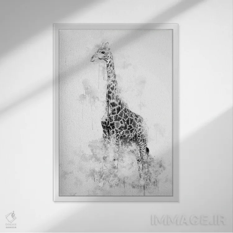 تابلو دکوراتیو زرافه سیاه و سفید اثر کورنل ولاد - نمای قابدار سفید