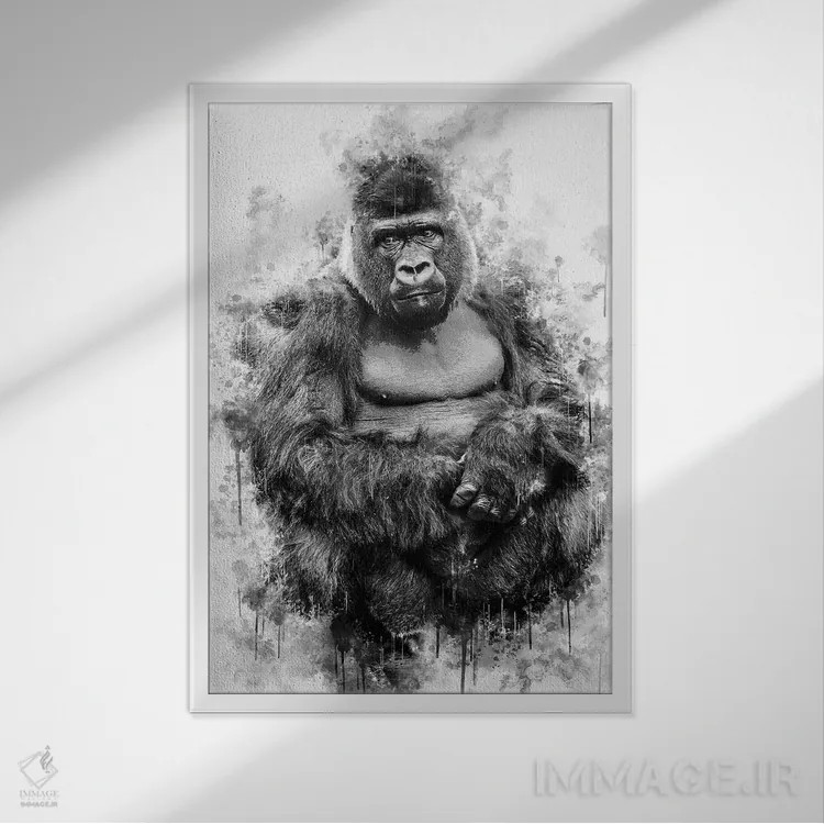 تابلو دکوراتیو گوریل سیاه و سفید اثر کورنل ولاد - نمای قابدار سفید