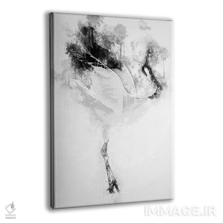 تابلو دکوراتیو درنای تاج قرمز ژاپنی سیاه و سفید اثر کورنل ولاد - نمای پرسپکتیو محصول