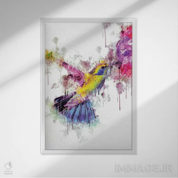 تابلو دکوراتیو مرغ مگس خوار اثر کورنل ولاد - نمای قابدار سفید