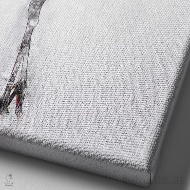 تابلو دکوراتیو درنای تاج قرمز ژاپنی اثر کورنل ولاد - نمای نزدیک بافت بوم