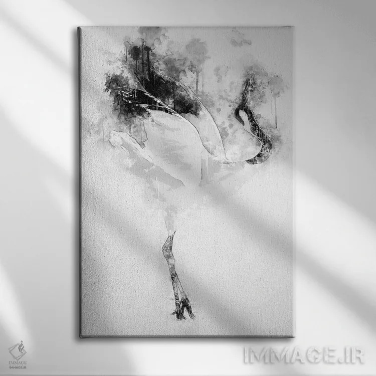 تابلو دکوراتیو درنای تاج قرمز ژاپنی سیاه و سفید اثر کورنل ولاد - نمای روبهرو روی دیوار