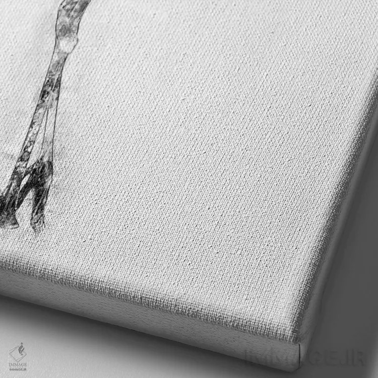 تابلو دکوراتیو درنای تاج قرمز ژاپنی سیاه و سفید اثر کورنل ولاد - نمای نزدیک بافت بوم