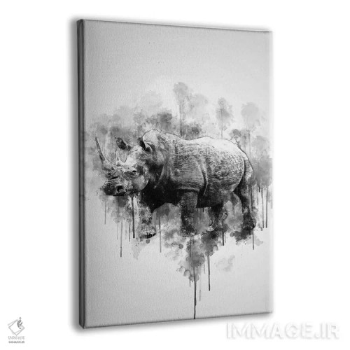 تابلو دکوراتیو کرگدن در سیاه و سفید اثر کورنل ولاد - نمای پرسپکتیو محصول