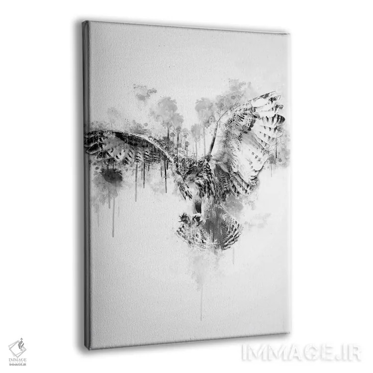 تابلو دکوراتیو جغد در سیاه و سفید اثر کورنل ولاد - نمای پرسپکتیو محصول