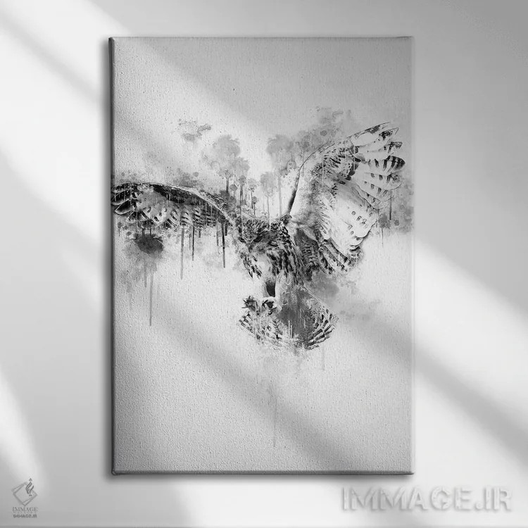 تابلو دکوراتیو جغد در سیاه و سفید اثر کورنل ولاد - نمای روبهرو روی دیوار