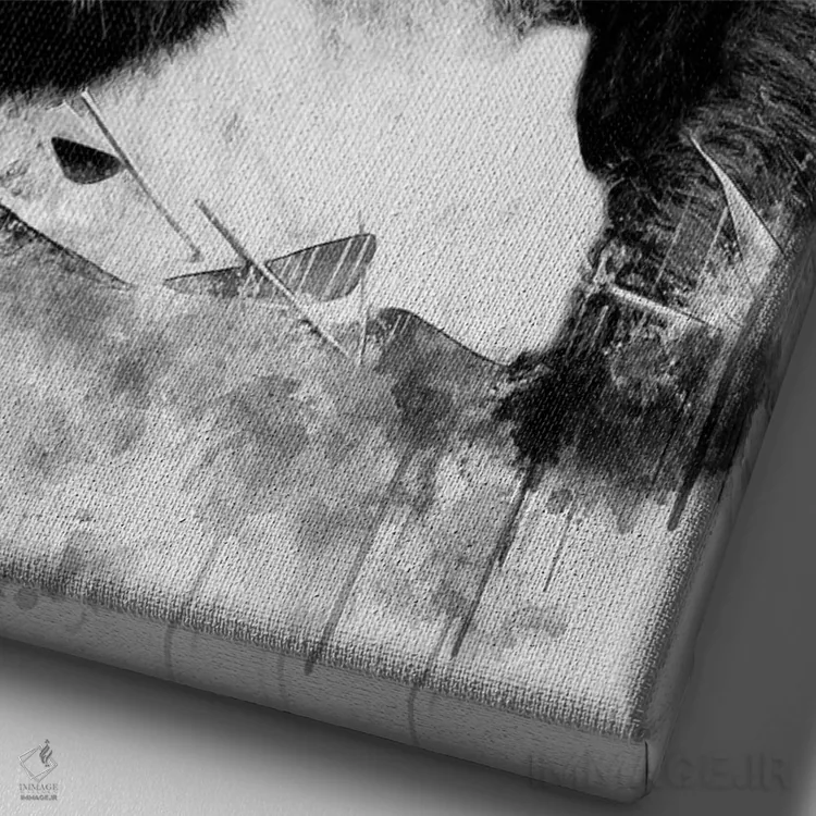 تابلو دکوراتیو پاندا در سیاه و سفید اثر کورنل ولاد - نمای نزدیک بافت بوم