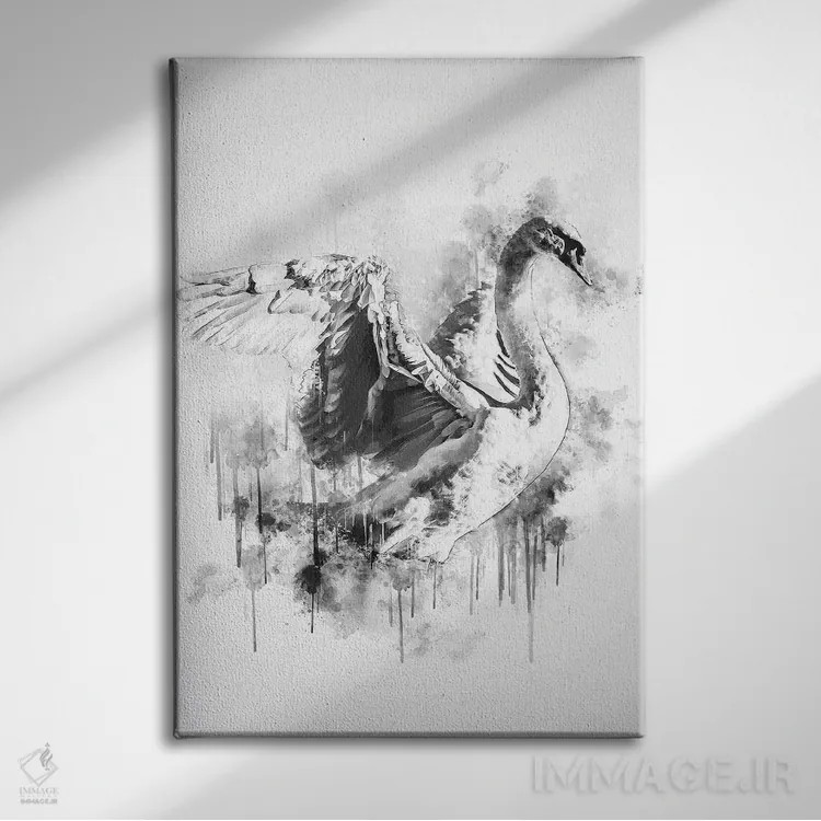 تابلو دکوراتیو قو در سیاه و سفید اثر کورنل ولاد - نمای روبهرو روی دیوار