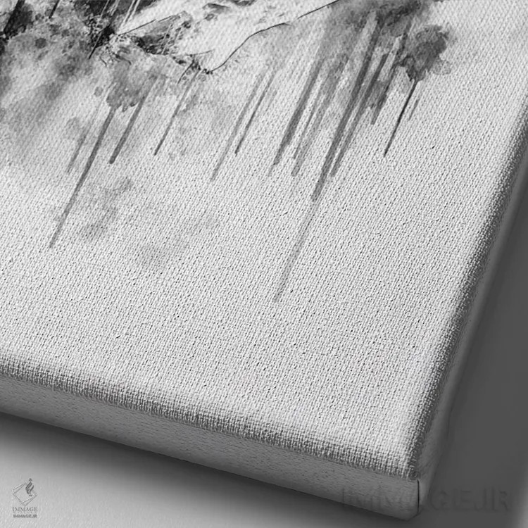 تابلو دکوراتیو قو در سیاه و سفید اثر کورنل ولاد - نمای نزدیک بافت بوم