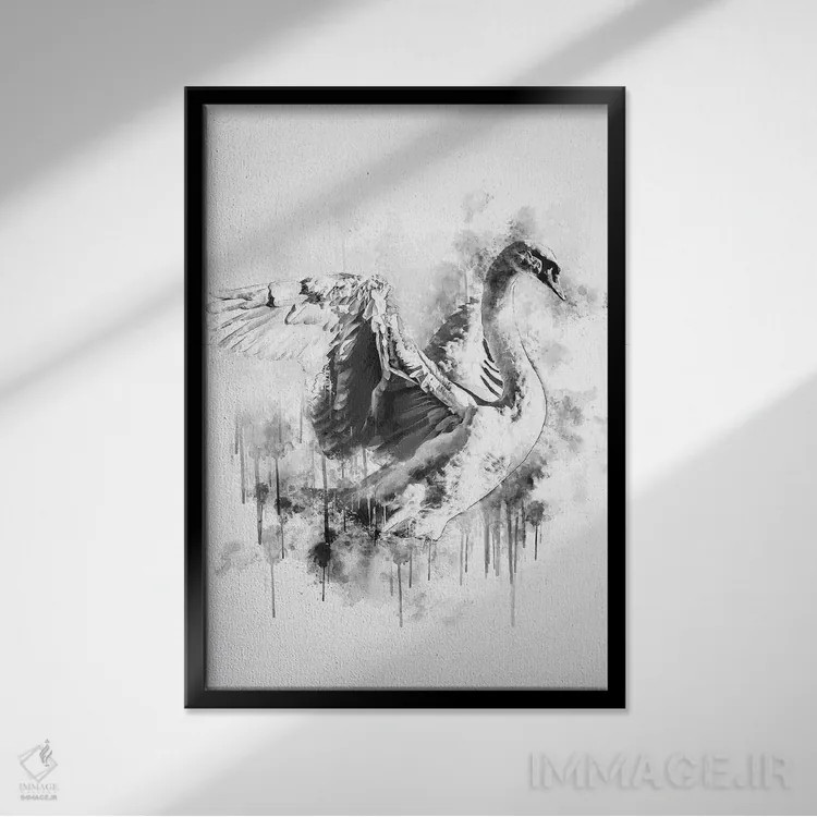 تابلو دکوراتیو قو در سیاه و سفید اثر کورنل ولاد - نمای قابدار مشکی