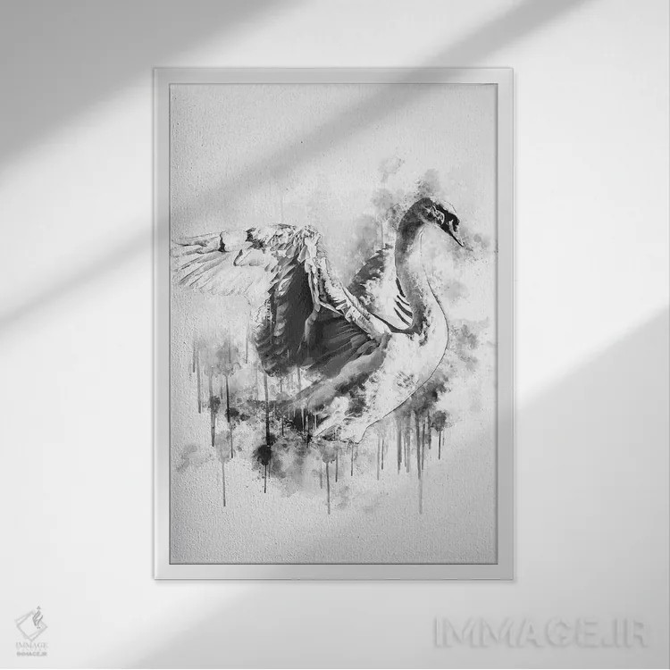 تابلو دکوراتیو قو در سیاه و سفید اثر کورنل ولاد - نمای قابدار سفید