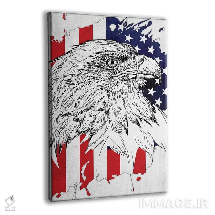 تابلو دکوراتیو عقاب سرسفید و پرچم آمریکا اثر کورنل ولاد - نمای پرسپکتیو محصول