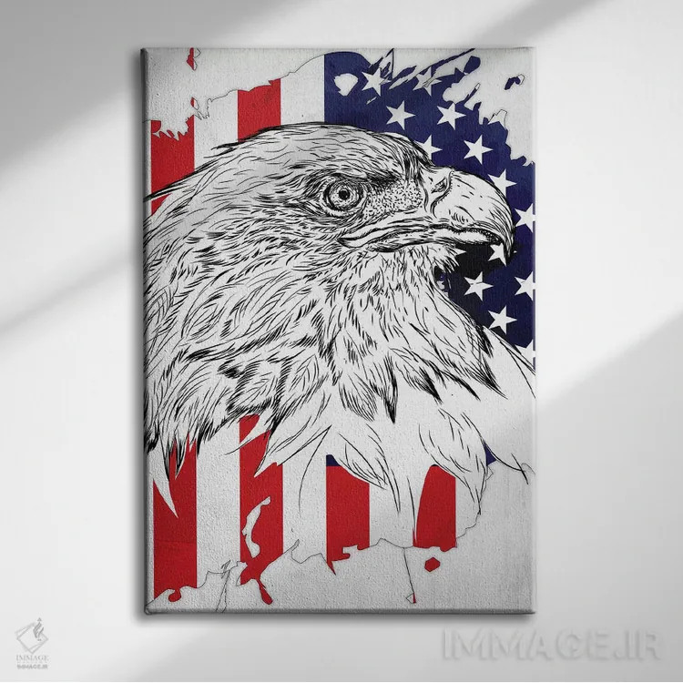تابلو دکوراتیو عقاب سرسفید و پرچم آمریکا اثر کورنل ولاد - نمای روبهرو روی دیوار