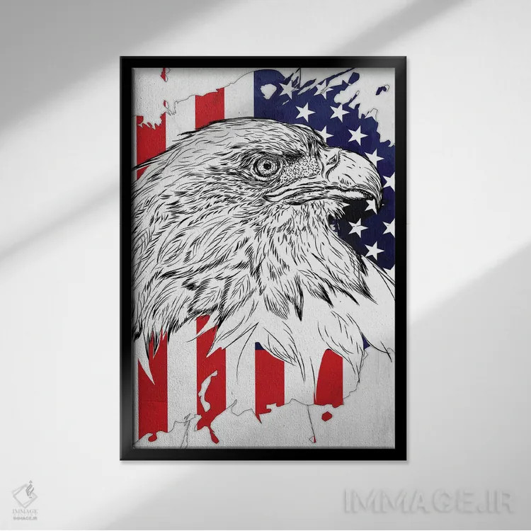 تابلو دکوراتیو عقاب سرسفید و پرچم آمریکا اثر کورنل ولاد - نمای قابدار مشکی