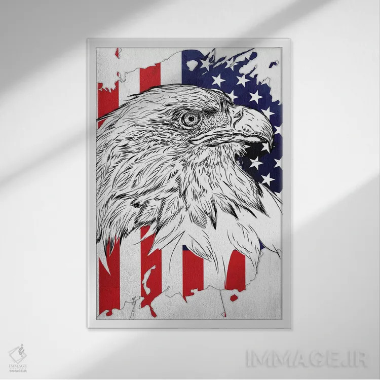 تابلو دکوراتیو عقاب سرسفید و پرچم آمریکا اثر کورنل ولاد - نمای قابدار سفید