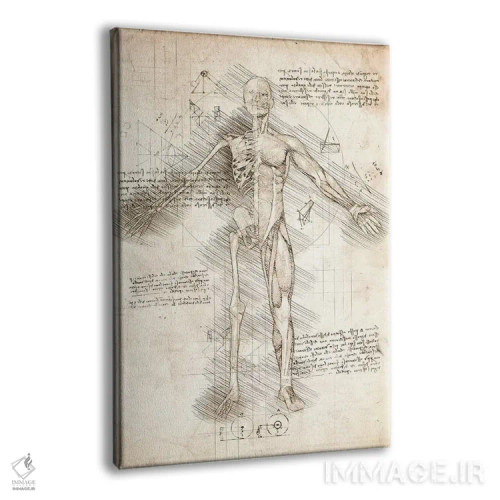 تابلو دکوراتیو نیم رخ طراحی مرد انسان اثر کورنل ولاد - نمای پرسپکتیو محصول