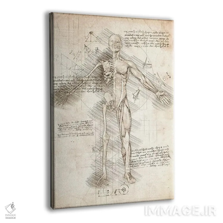 تابلو دکوراتیو نیم رخ طراحی مرد انسان اثر کورنل ولاد - نمای پرسپکتیو محصول