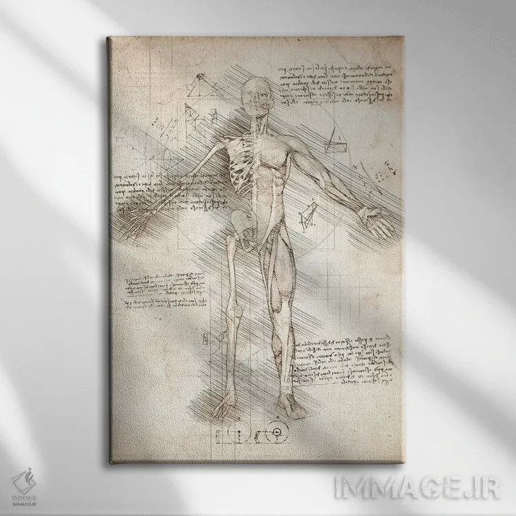 تابلو دکوراتیو نیم رخ طراحی مرد انسان اثر کورنل ولاد - نمای روبهرو روی دیوار