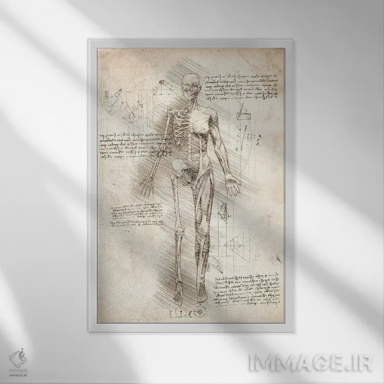 تابلو دکوراتیو نیم رخ طراحی زن انسان اثر کورنل ولاد - نمای قابدار سفید