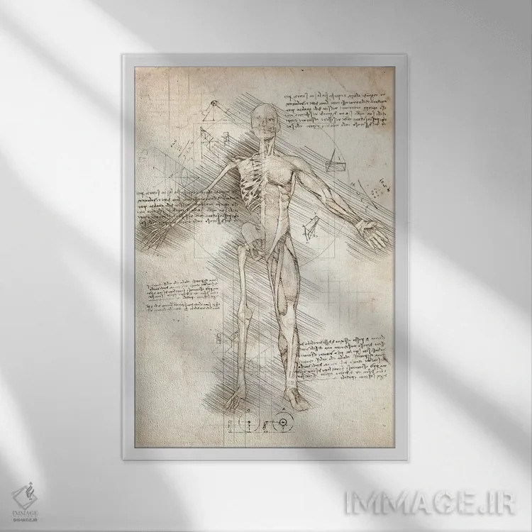تابلو دکوراتیو نیم رخ طراحی مرد انسان اثر کورنل ولاد - نمای قابدار سفید