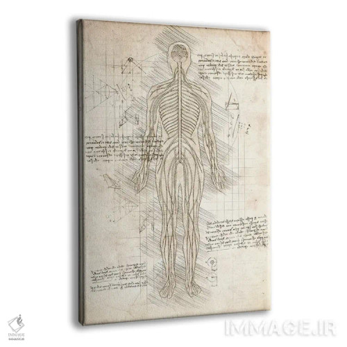 تابلو دکوراتیو دستگاه عصبی انسان اثر کورنل ولاد - نمای پرسپکتیو محصول