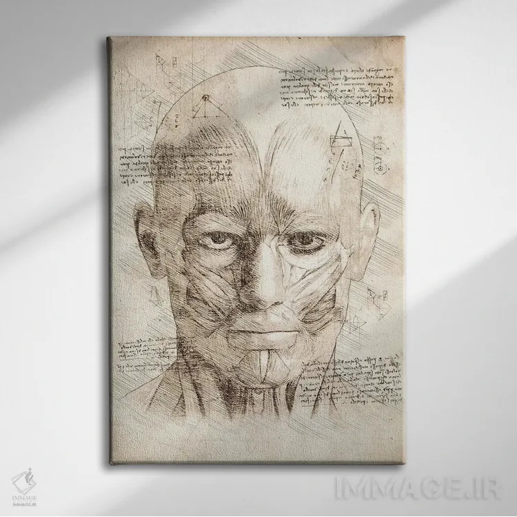 تابلو دکوراتیو عضلات صورت و سر انسان اثر کورنل ولاد - نمای روبهرو روی دیوار