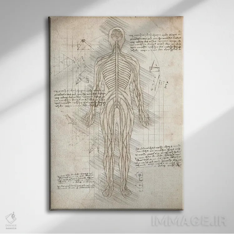 تابلو دکوراتیو دستگاه عصبی انسان اثر کورنل ولاد - نمای روبهرو روی دیوار