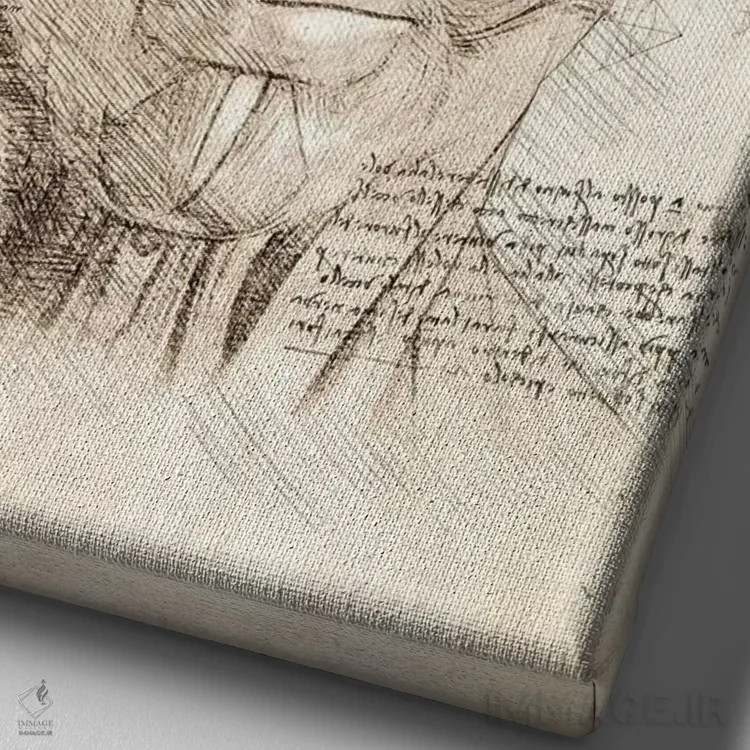 تابلو دکوراتیو عضلات صورت و سر انسان اثر کورنل ولاد - نمای نزدیک بافت بوم