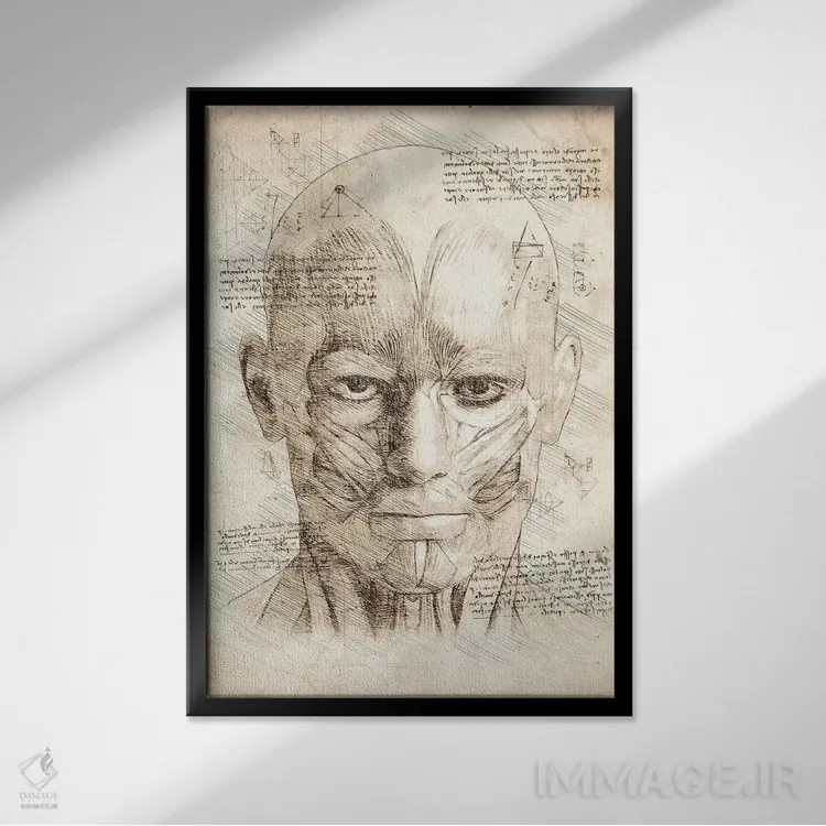 تابلو دکوراتیو عضلات صورت و سر انسان اثر کورنل ولاد - نمای قابدار مشکی