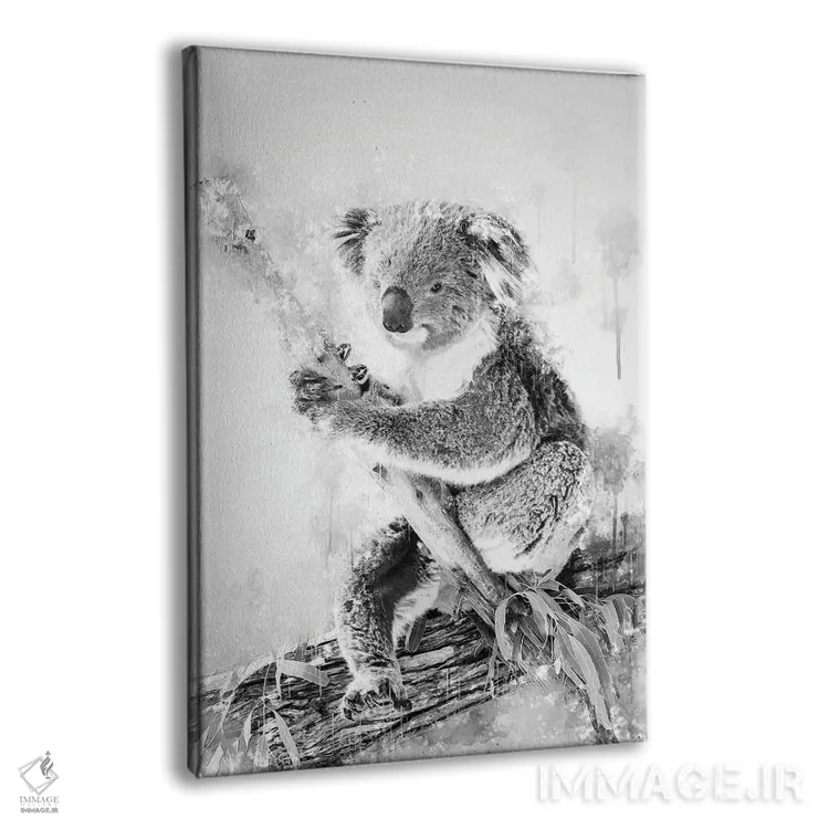 تابلو دکوراتیو کوالا روی شاخه در سیاه و سفید اثر کورنل ولاد - نمای پرسپکتیو محصول