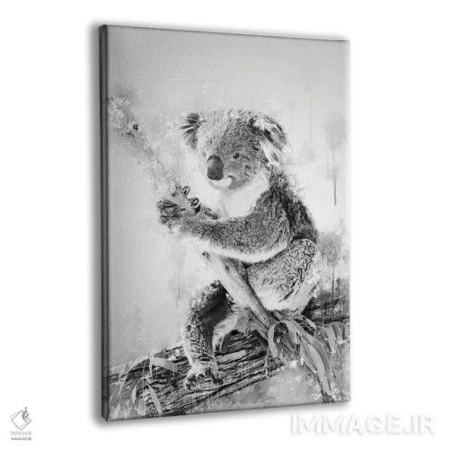 تابلو دکوراتیو کوالا روی شاخه در سیاه و سفید اثر کورنل ولاد - نمای پرسپکتیو محصول