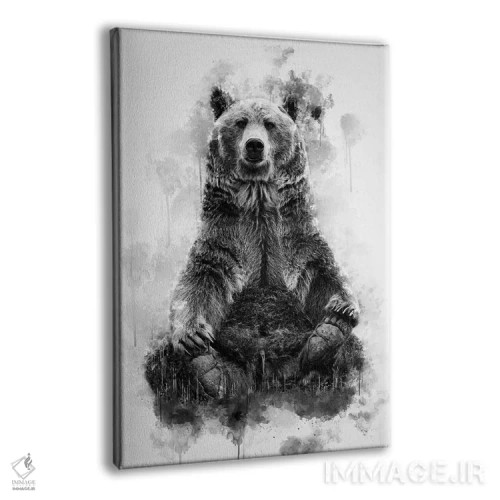 تابلو دکوراتیو خرس قهوه ای در سیاه و سفید اثر کورنل ولاد - نمای پرسپکتیو محصول