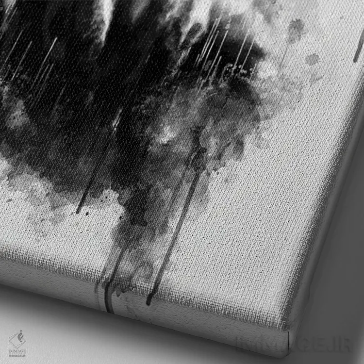 تابلو دکوراتیو روباه نشسته در سیاه و سفید اثر کورنل ولاد - نمای نزدیک بافت بوم